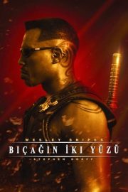 Blade – Bıçağın İki Yüzü izle