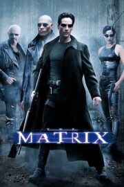 Matrix 1